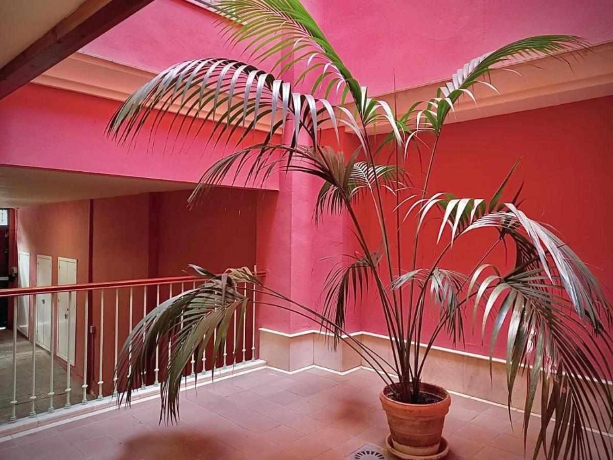 Apartamento Sauceda 7 塞维利亚 外观 照片